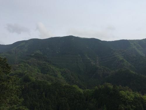 岩湧山がみえる。やっぱ高いな～