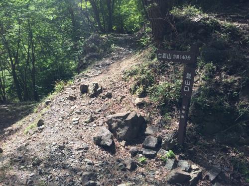 登りの林道を歩くこと1時間で七面山の登山口に到着。しかし神仙平へは林道の終点までいかないといけないので、このまま林道を突き進む・・・勘弁してくれよ～＞＜