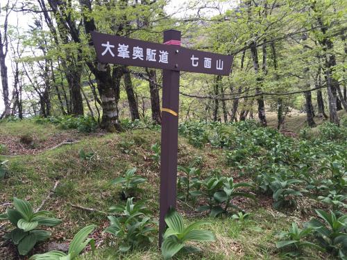 七面山界隈にある道標だった