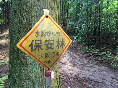 桃の木のザオ？ダオに到着