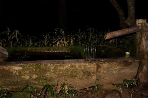 さらにジグザグ道が続いて池山小屋付近の水場に到着。ここでちょい休憩だが、とても標高400mも登ってきた感覚はなかった