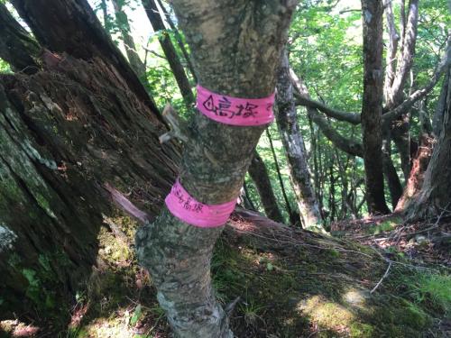 高塚山（1363.6m）に到着