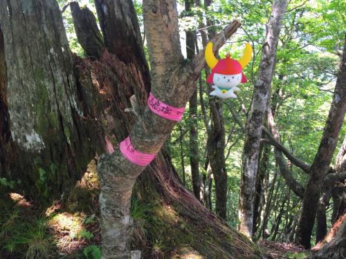 記念撮影もひこにゃんがイケ！