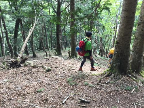 ここから河原へ降りていく