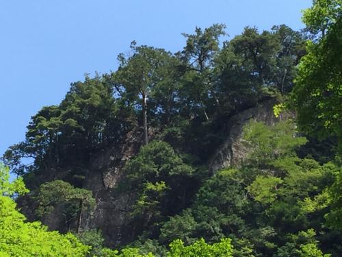 どこが仙人のテラスなんだろうと探すがわからない。おそらくテラス側からだと思うけど「ヤッホー」という声が聞こえてきたので「ヤッホー」と言い返したが聞こえたのかどうか！？