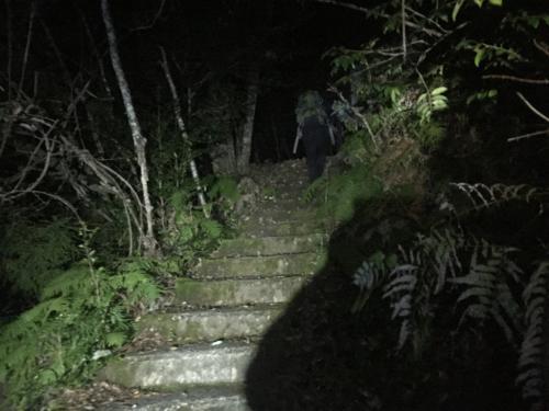 階段を登って