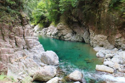 本当に水が綺麗だ