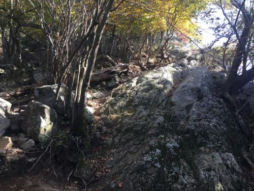 ピーク直下あたりから岩場になる