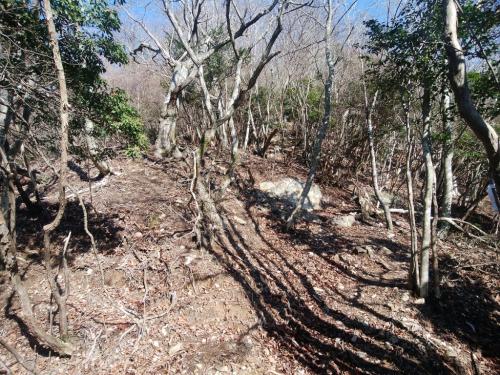 三嶽への登り