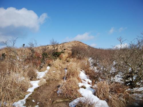 この付近は日が照っていて雪がない。雪あればなあ～