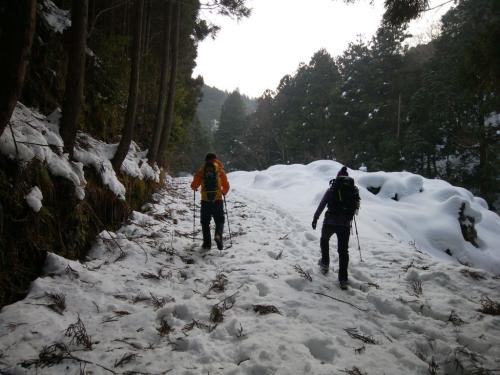 榑ヶ畑登山口まで林道を歩いていく