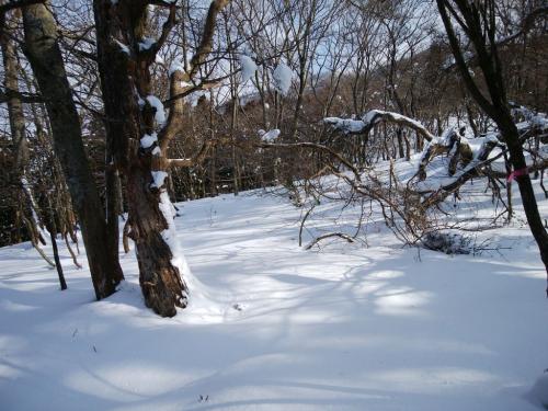 ちょっと疲れたのでここでしばし休憩～