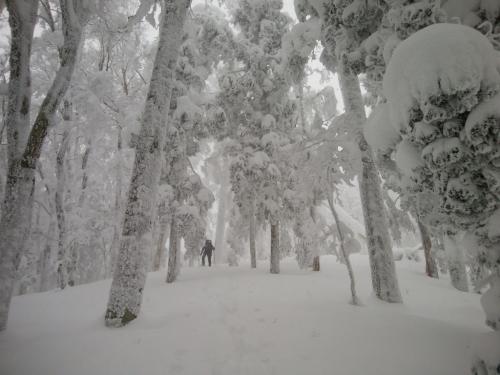 それにしてもすごい雪の量。さすが大峰。青空があればもっといいけどこれでもかなりの景色だった