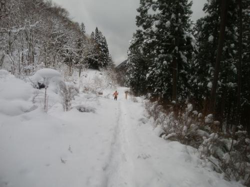 金引尾根・弥山川分岐に戻ってきた