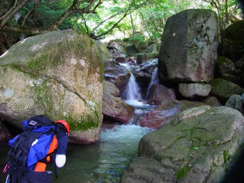 涼しい～