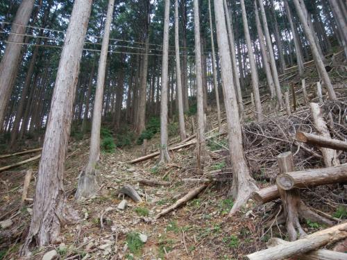 稜線が見えた