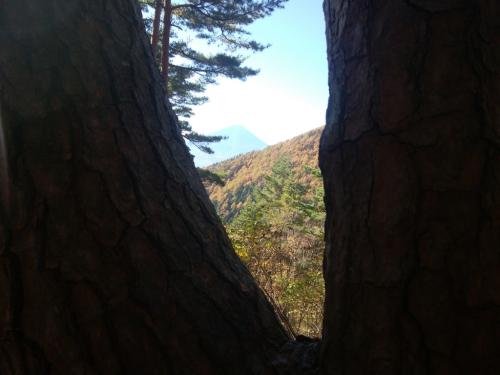 股の間から富士山！