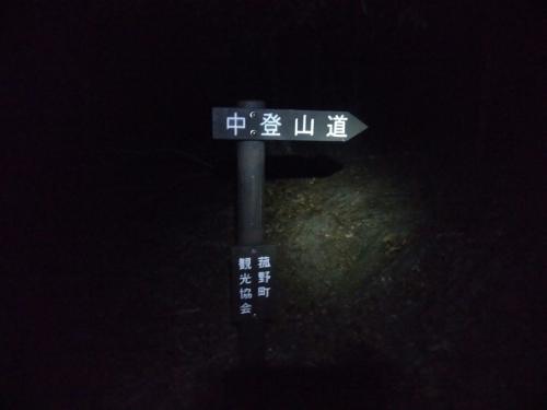 中登山道を歩いていく
