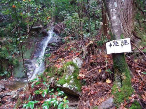 手洗滝