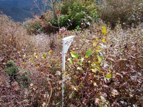 さあ、つまご坂登山口目指して下っていきます