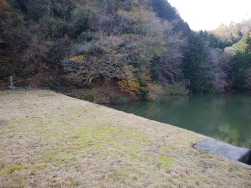 池の左側のルートをとる