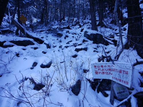 ここからが急登なんよね