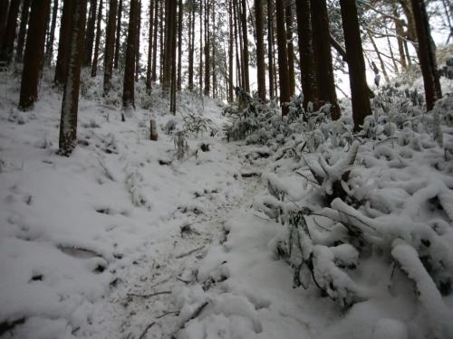稜線が見えた