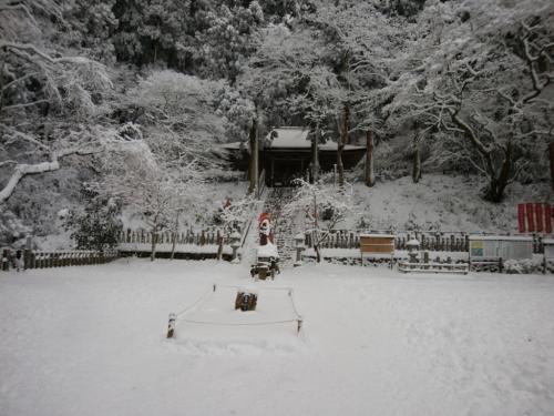 山頂は見事な霧氷になっていて絵になっていた