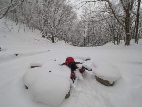 ここでも雪にダイブ～