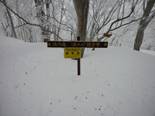 観音峰山の頂上（1347.4m）に到着