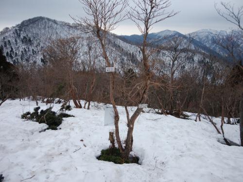 御殿山に到着