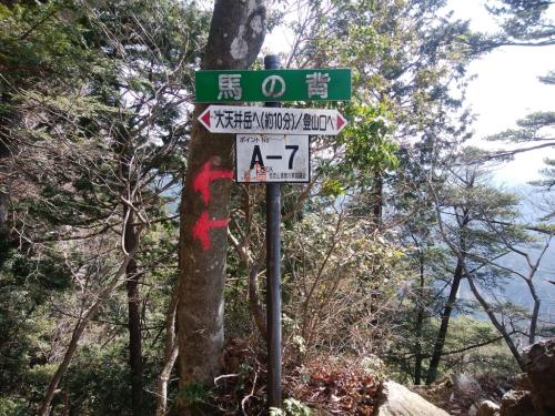 馬の背に到着