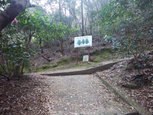 ここを右へ