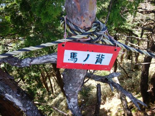 馬の背
