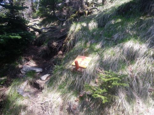 ここで奥駆道から離れて仏生ヶ岳の山頂を目指す