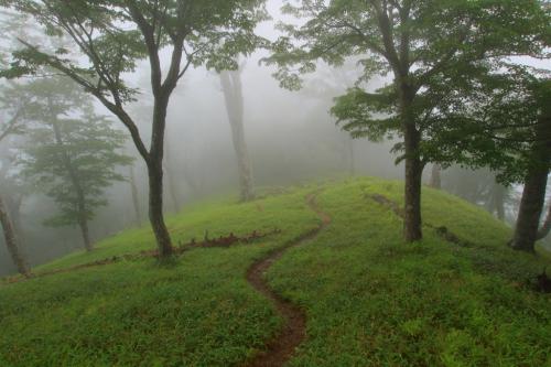 こういうガスの道も見たかったんよね