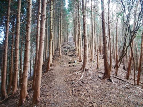 雄岳を下って次は雌岳のピークを目指す。ここからの登りは大したことなかった