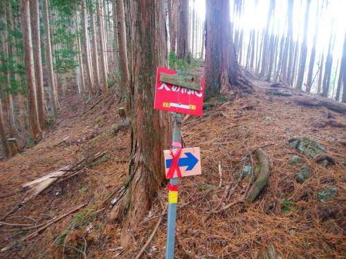 ここを右へ。尾根を登る