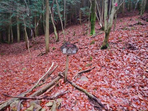 ここで沢筋が終わり、右に折れて登りになる
