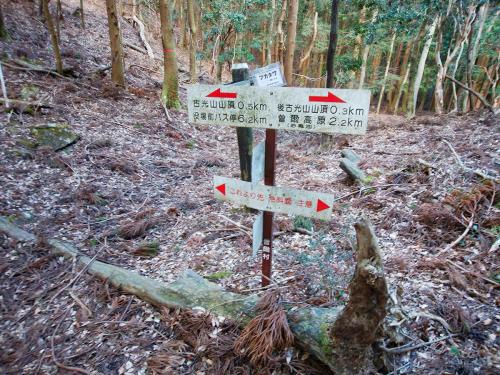 後古光山と古光山のコル部にあたるフカタワに到着。左右どちらも急斜面と書いてるけど、さっきの斜面くらいのを登るのかと思うと心折れそう